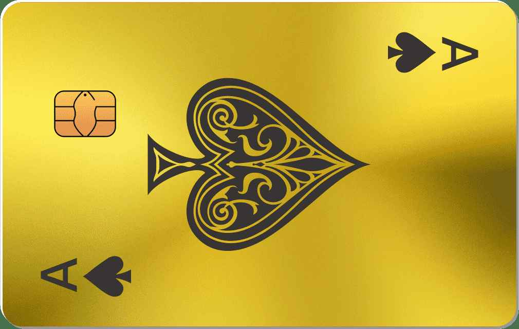 ACE Metal Credit Card - The Rich Card