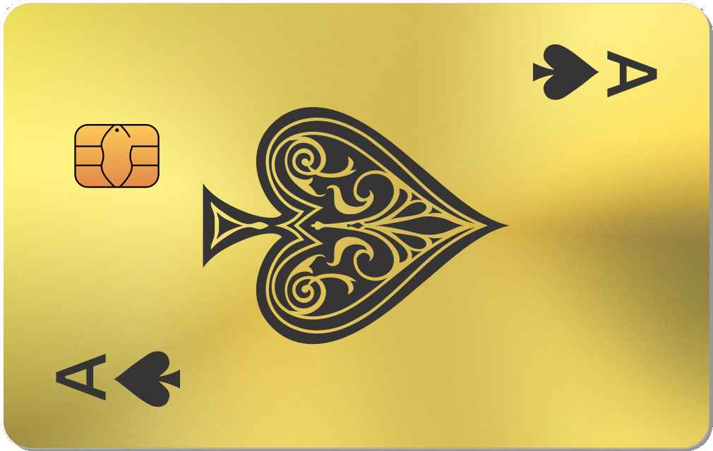 ACE Metal Credit Card - The Rich Card