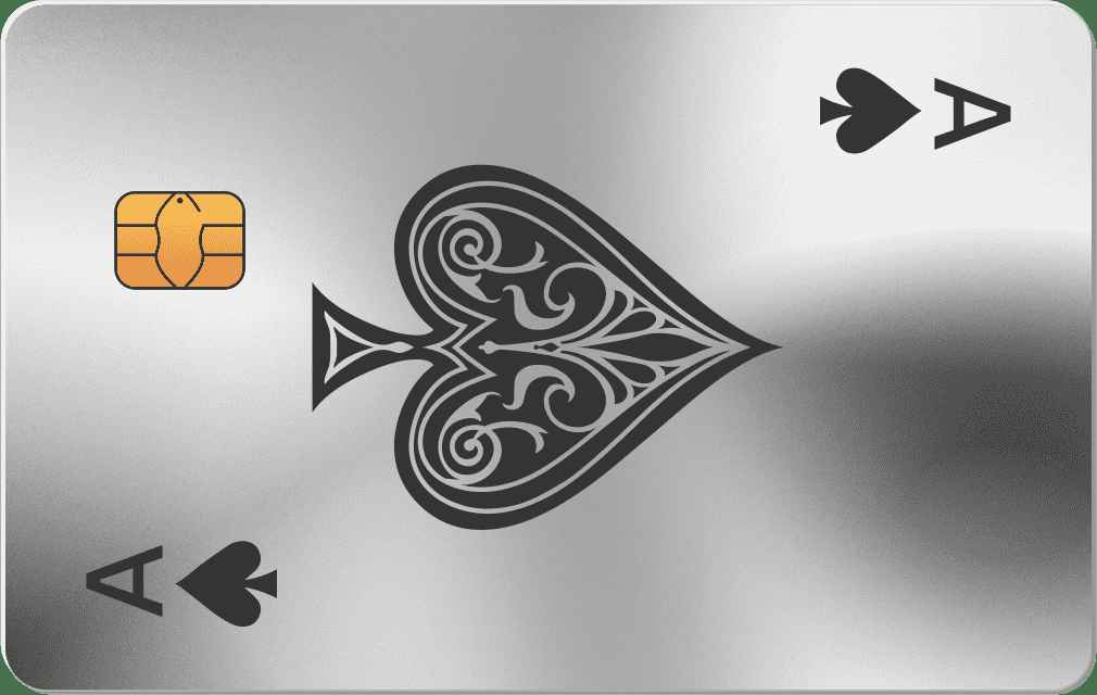 ACE Metal Credit Card - The Rich Card