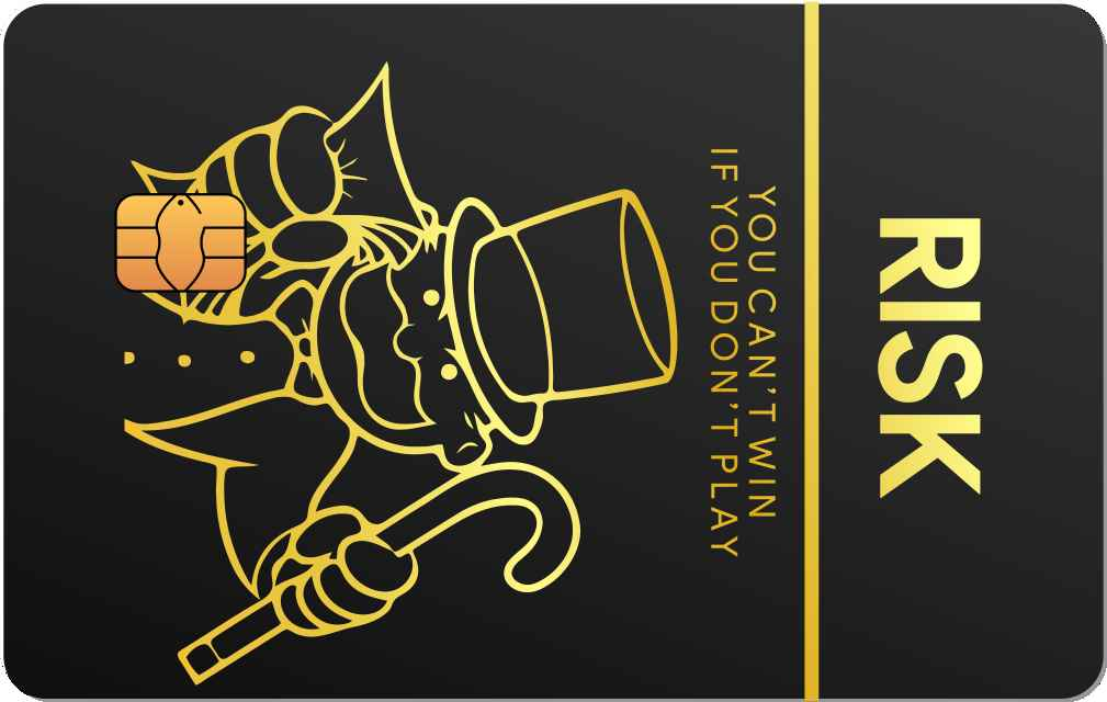 Risk Metal Credit Card - The Rich Card